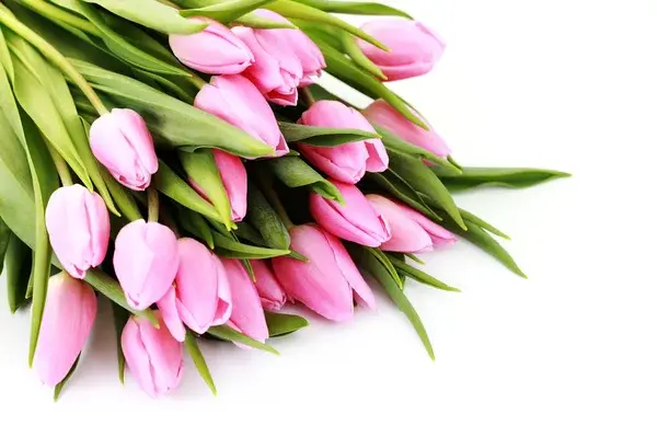 Вітаємо з 8 Березня! 🌷