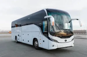 Автобус Сміла Познань | Щоденні рейси